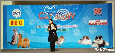 Traditional show stage